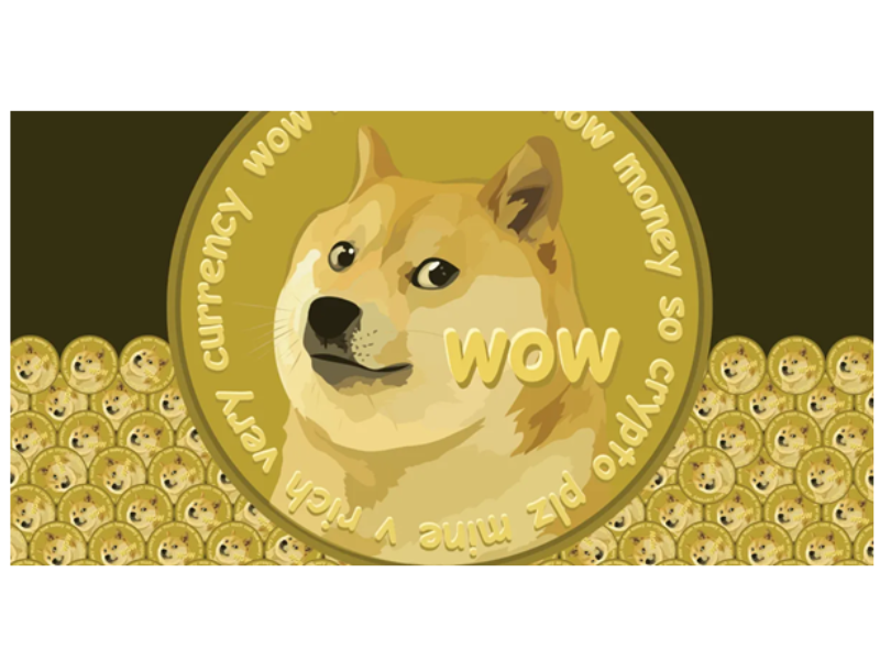 How Much Should I Invest in Dogecoin?